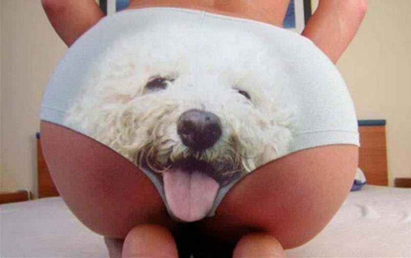 Create meme: panties with a dog for women, funny butts, women's underwear