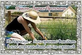 Create meme: summer resident's Day, summer Resident's Day in Russia, weeding