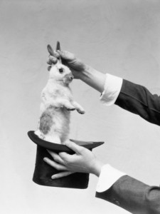 Create meme: bunny, dog, rabbit in the hat