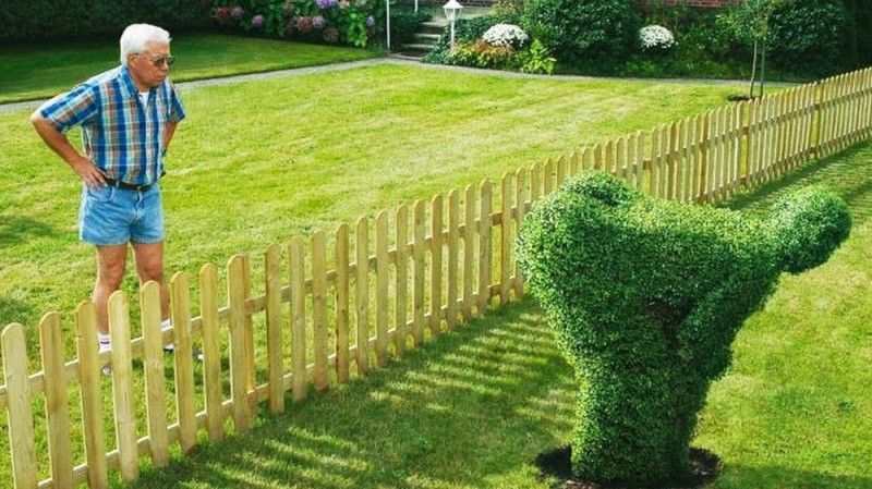 Create meme: the fence between the plots, a hedge in the garden, cool fence