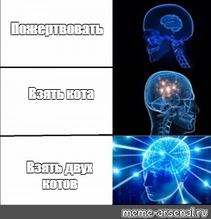 Создать мем: null