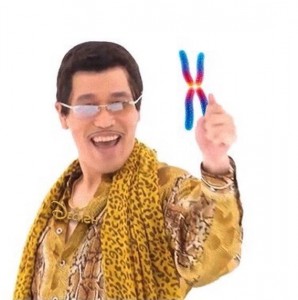 Create meme: i have a pen i have an apple meme, ppap, pineapple pen