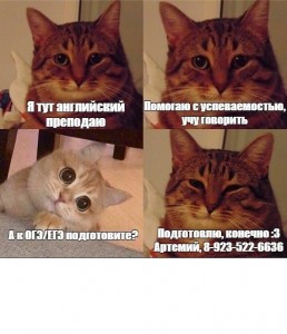 Create meme: cat meme, memchiki with cats, meme cat