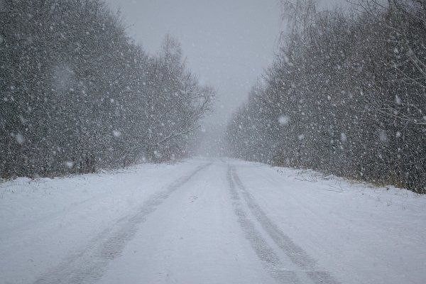 Create meme: wet snow , snow nature, snowfall