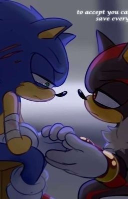 Create meme: shadow x sonic, shadow and sonic, Sonic and Shadow and Silver Love