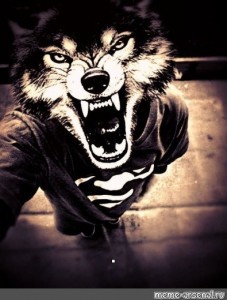Create meme: I'm a lone wolf, lone wolf, the man with the head of a wolf
