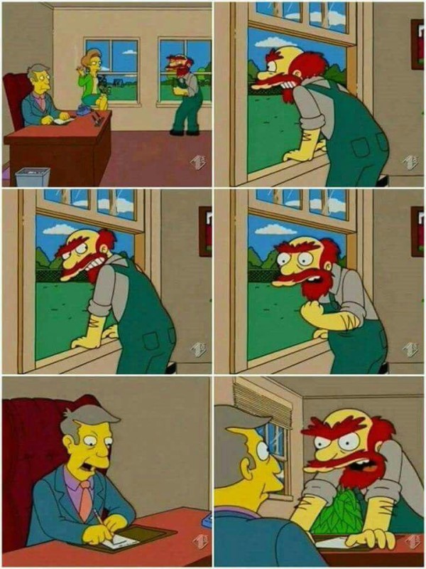 Create meme: Willie the Simpsons, brothers and sisters are natural enemies, the simpsons meme 