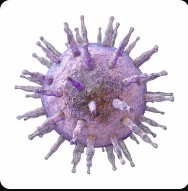Создать мем: коронавирусы, herpes virus, virus