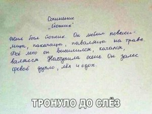 Сочинение жил был йожик фото