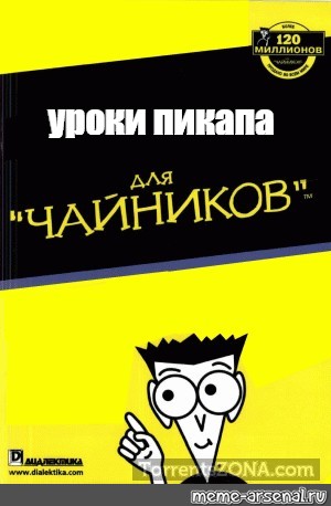 Пикаперы книга. Пикап для чайников. Книги по пикапу. Уроки пикапа для чайников. Книга уроки пикапа.