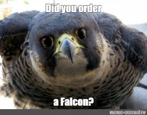 Create Meme Peregrine Peregrine Peregrine Falcon Birds