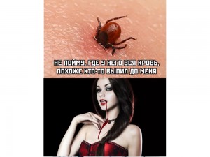 Create meme: vampires Wallpaper, vampires are waiting, vampire pictures beautiful