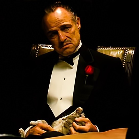 Create meme: without respect meme, don Corleone meme respect, meme of don Corleone 