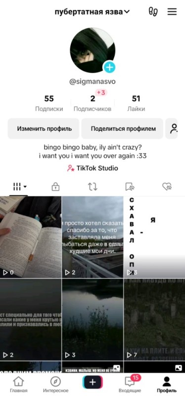 Create meme: tik Tok account, user profile, in tik tok