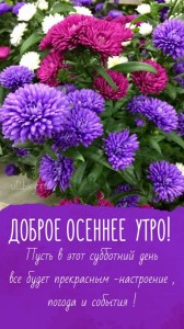 Создать мем: красивые цветы, утро чудесное, доброе утро друзья