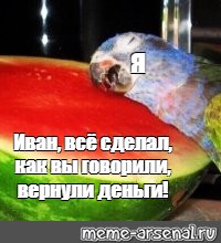 Создать мем: null