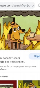 Создать мем: собака в горящей комнате, мем пес в горящем доме, пес в горящем доме