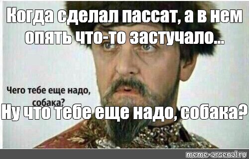 Что тебе еще надо собака. Чего тебе еще надо. Чего тебе надо собака. Че тебе еще надо собака Мем. Чего ж тебе ещё надо собака.