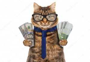 Создать мем: смешные кошки, кот бухгалтер png, Кошка