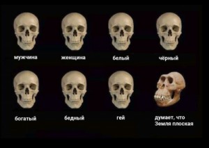 Create meme: skull, skull, comparison