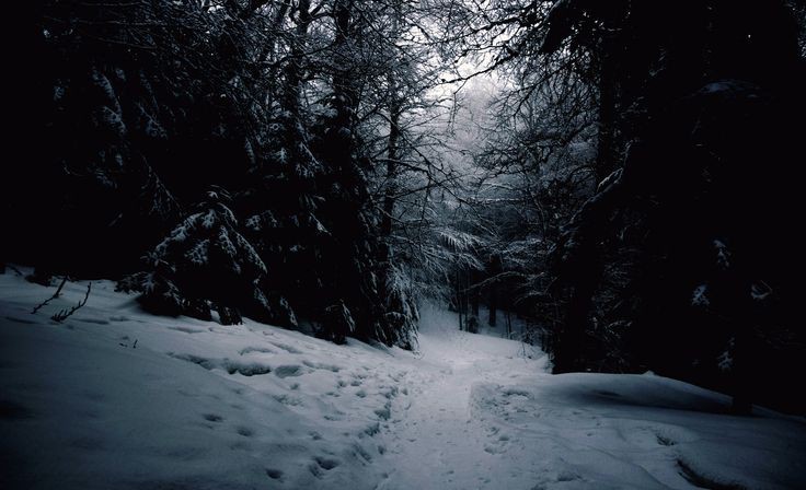 Create meme: snow winter, winter forest, dark winter forest
