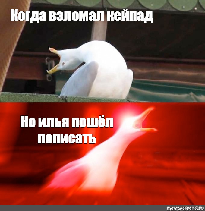 Создать мем: null