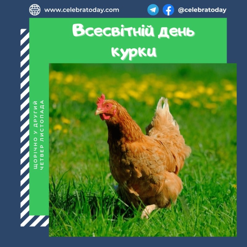 Create meme: for the chicken, The chicken is alive, beautiful chicken