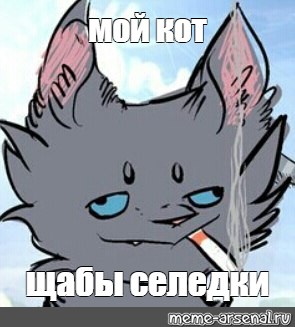 Создать мем: null