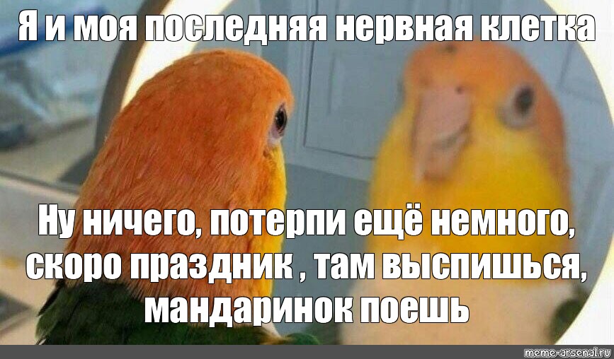 Быстро потерпеть