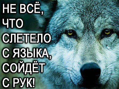 Картинки волков с надписями со смыслом про жизнь со смыслом