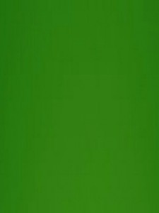 Create meme: RAL 6002 leaf green, Kay green, green