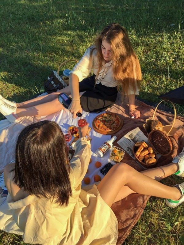 Create meme: a friend's photo shoot at a picnic, picnic with a friend, summer picnic