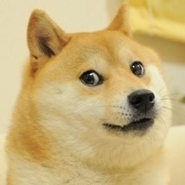 Create meme: meme dog, dog meme, doge