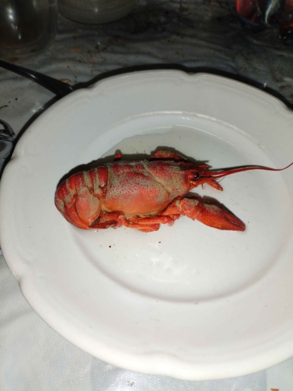 Create meme: seafood lobster lobster, lobster lobster, lobster crab