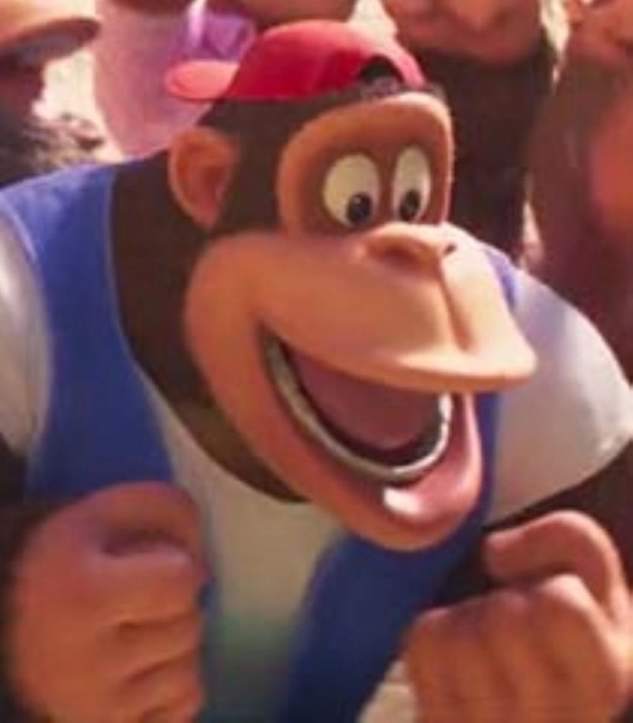 Create meme: donkey kong , donkey kong returns, donkey kong 3