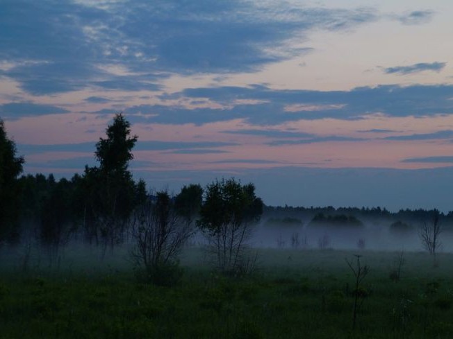 Create meme: foggy evening, misty dawn, Fog fog