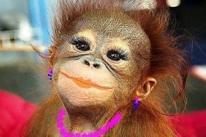 Создать мем: baby monkey, потому что нельзя быть красивой такой, человек