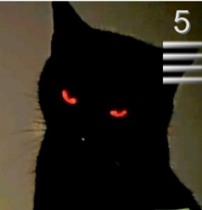 Create meme: The black kitten is saved, The cat with red eyes, black cat 