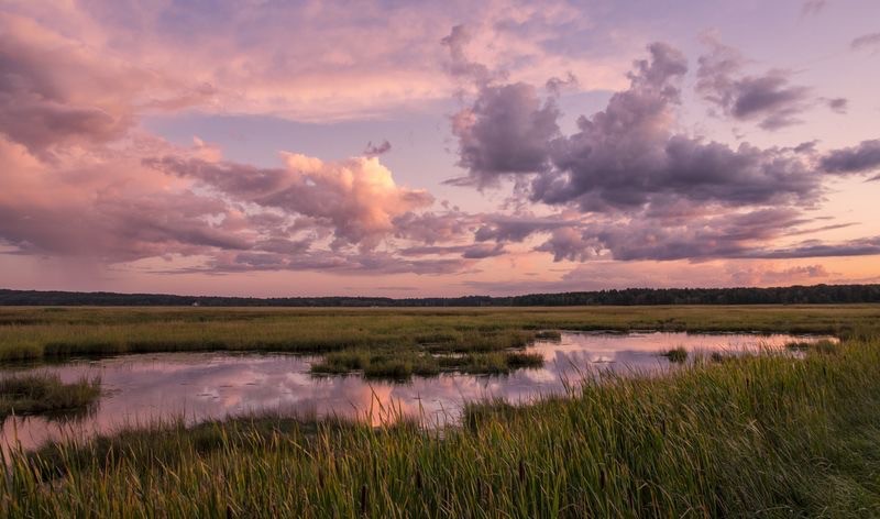 Создать мем: marsh, пейзаж