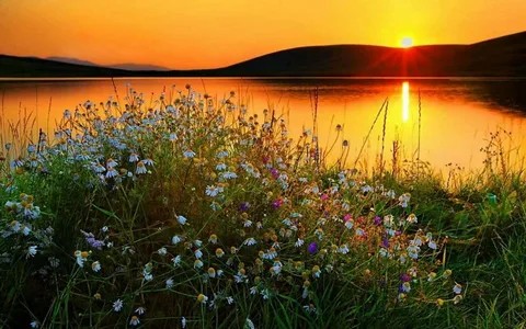 Create meme: nature morning, good morning nature, summer sunset