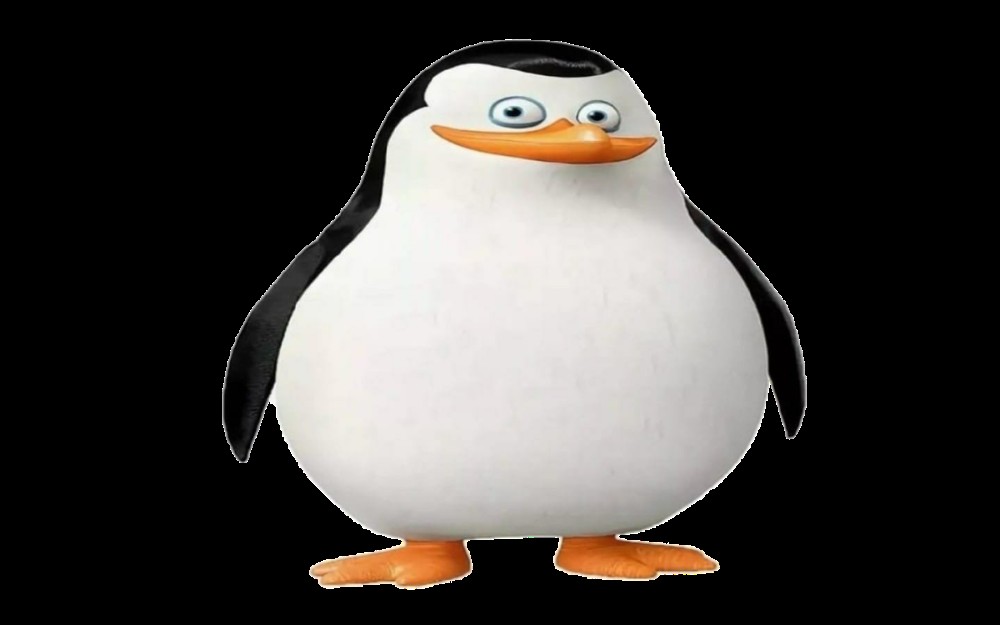 Создать мем: пингвины мадагаскара шкипер, пингвины из мадагаскара рико, рико пингвин