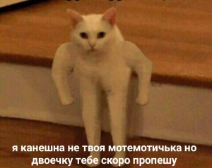 Create meme: Polyot, strong cat meme, meme Polyot original