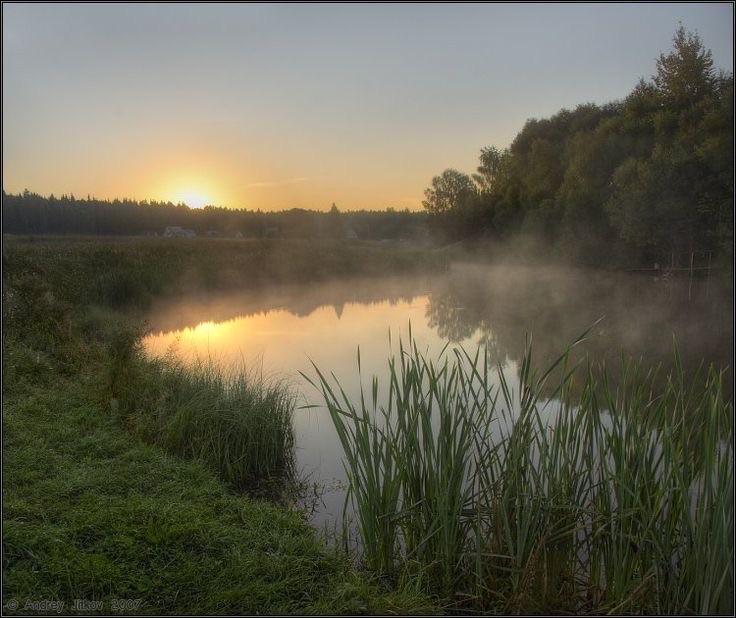 Create meme: early morning on the river, morning landscape, dawn on the river