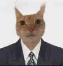 Create meme: cat , business cat, cat in a business suit