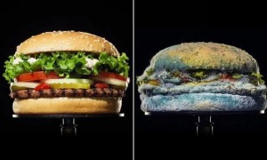 Create meme: hamburger Burger king, Burger king whopper