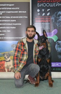 Create meme: exhibition of miniature Pinscher in 2019 in Kovrov, dog, de Grande Vinko kennel Dobermans