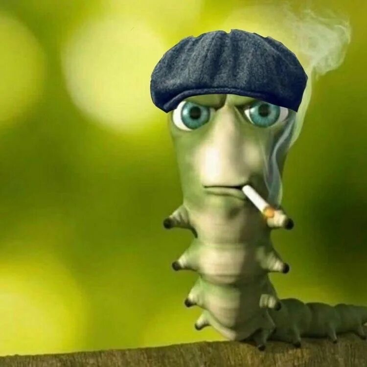 Create meme: caterpillar with a cigarette, caterpillar with a cigarette meme, the smoking caterpillar