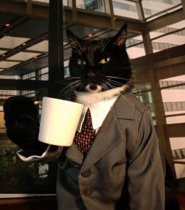 Create meme: business cat, cat in a business suit, cat