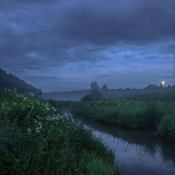 Create meme: nature landscape, ugra river, evening fog