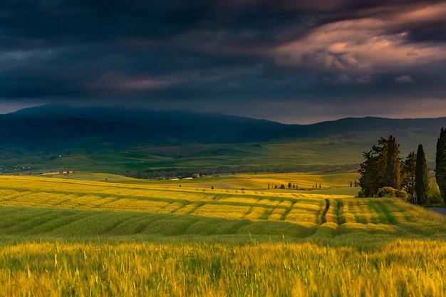 Create meme: rural landscape, sunset field, Tuscany Italy